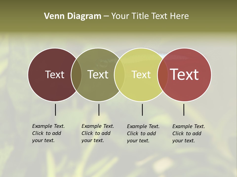 Water Freshwater Tropical PowerPoint Template