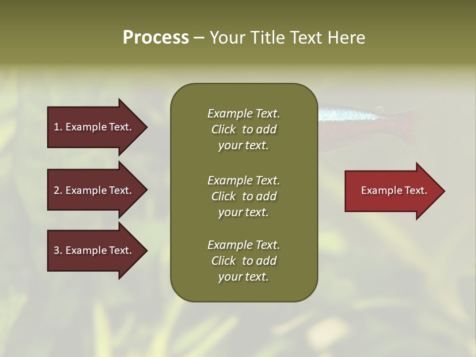 Water Freshwater Tropical PowerPoint Template
