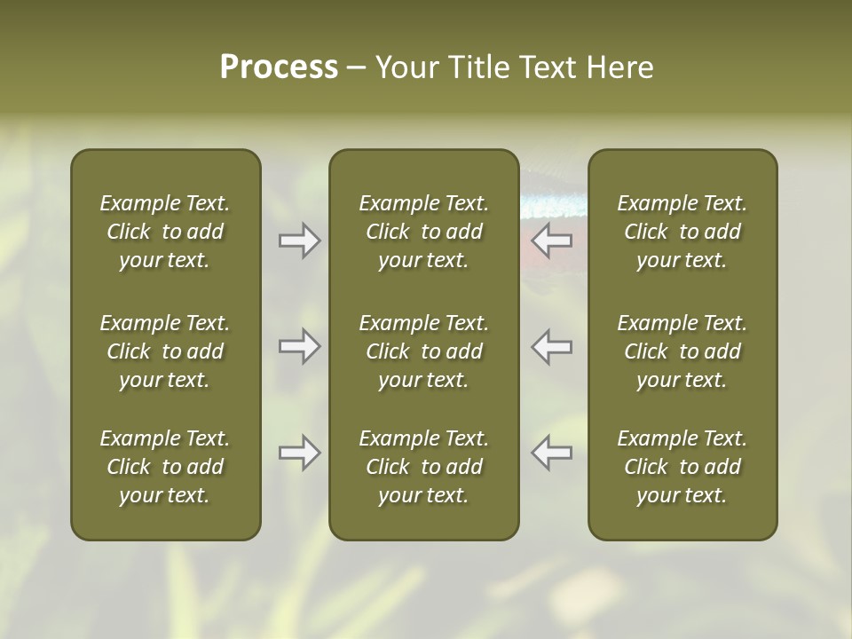Water Freshwater Tropical PowerPoint Template