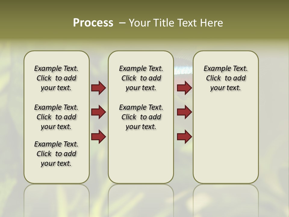 Water Freshwater Tropical PowerPoint Template