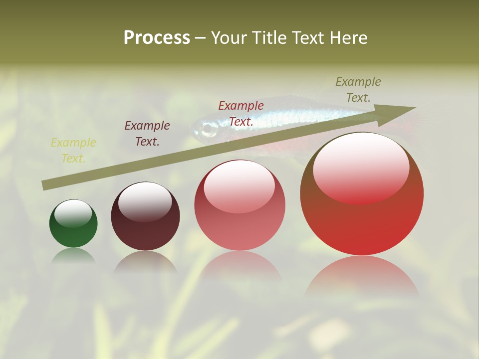 Water Freshwater Tropical PowerPoint Template