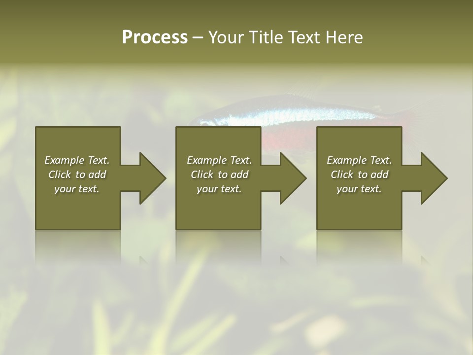 Water Freshwater Tropical PowerPoint Template