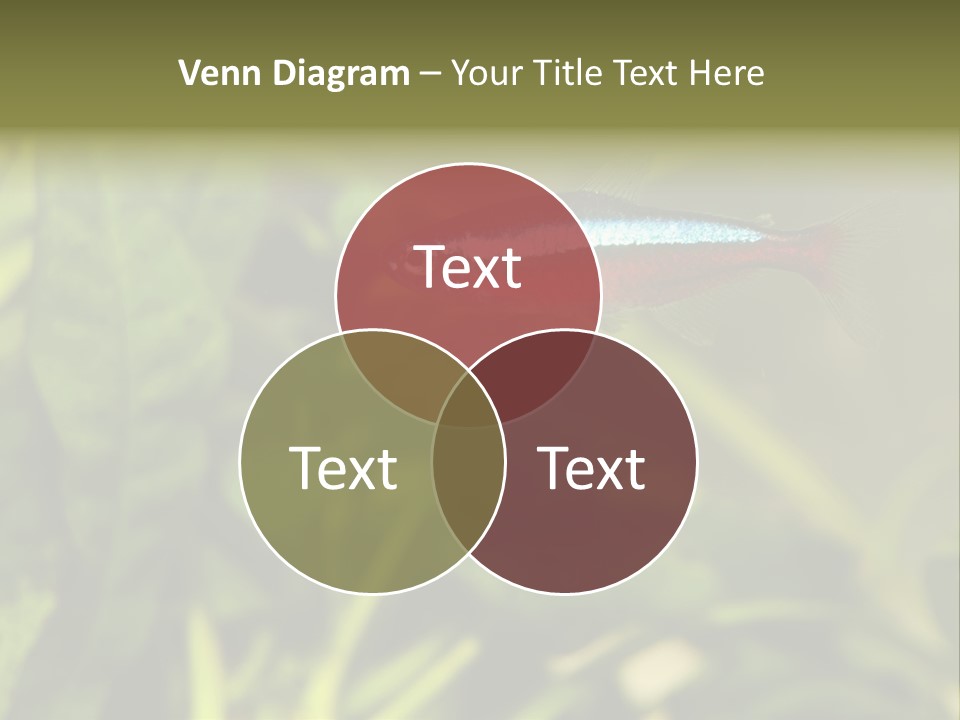 Water Freshwater Tropical PowerPoint Template