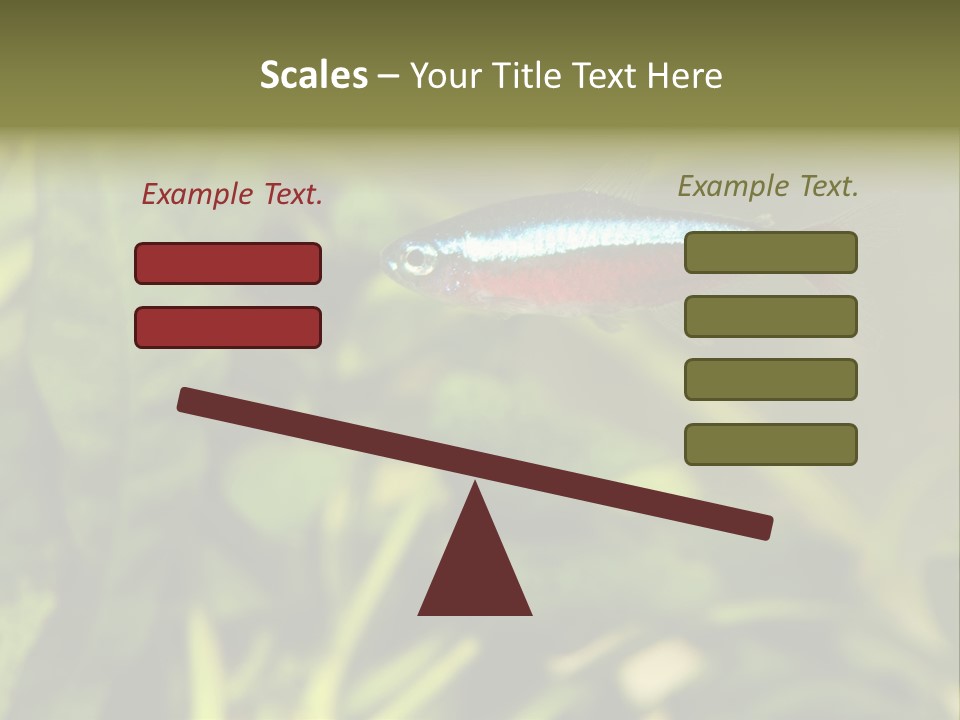 Water Freshwater Tropical PowerPoint Template