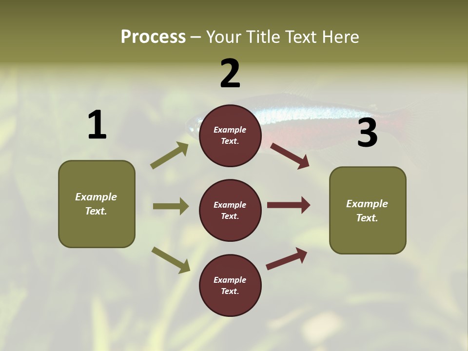 Water Freshwater Tropical PowerPoint Template