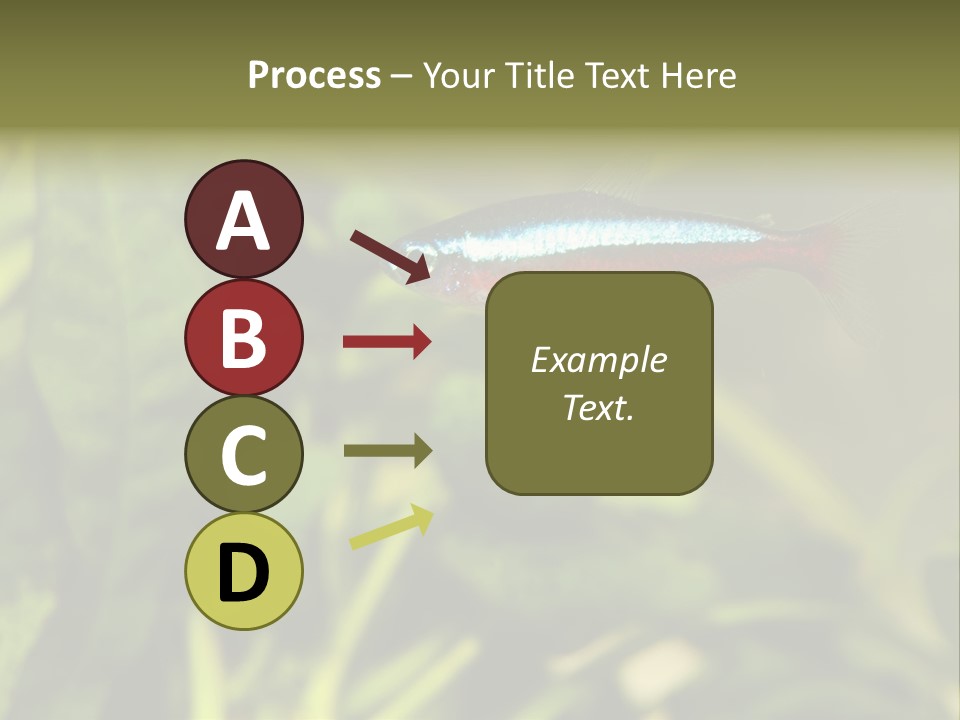 Water Freshwater Tropical PowerPoint Template