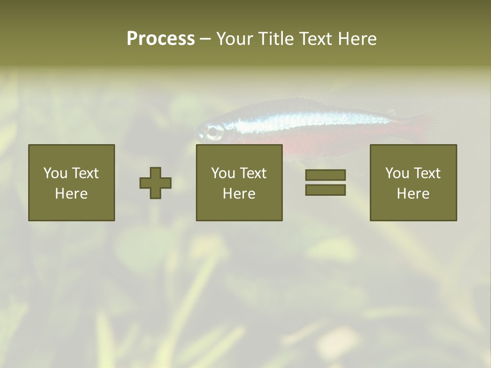 Water Freshwater Tropical PowerPoint Template
