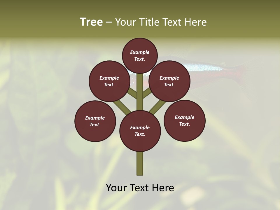 Water Freshwater Tropical PowerPoint Template