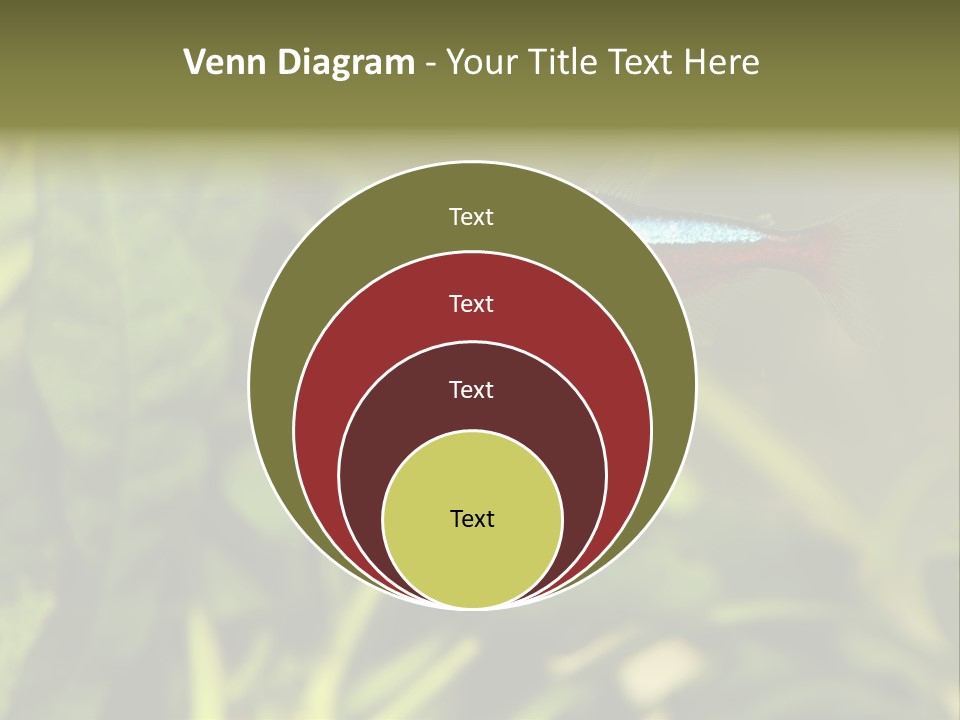 Water Freshwater Tropical PowerPoint Template