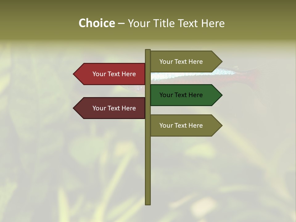 Water Freshwater Tropical PowerPoint Template