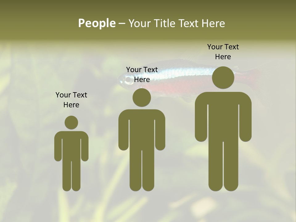 Water Freshwater Tropical PowerPoint Template