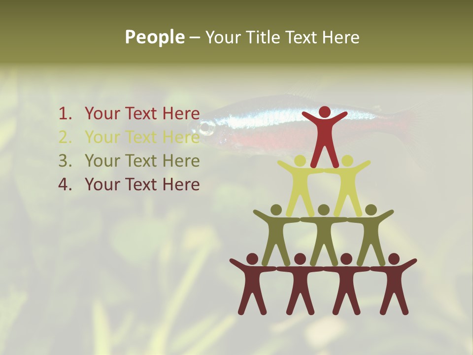 Water Freshwater Tropical PowerPoint Template