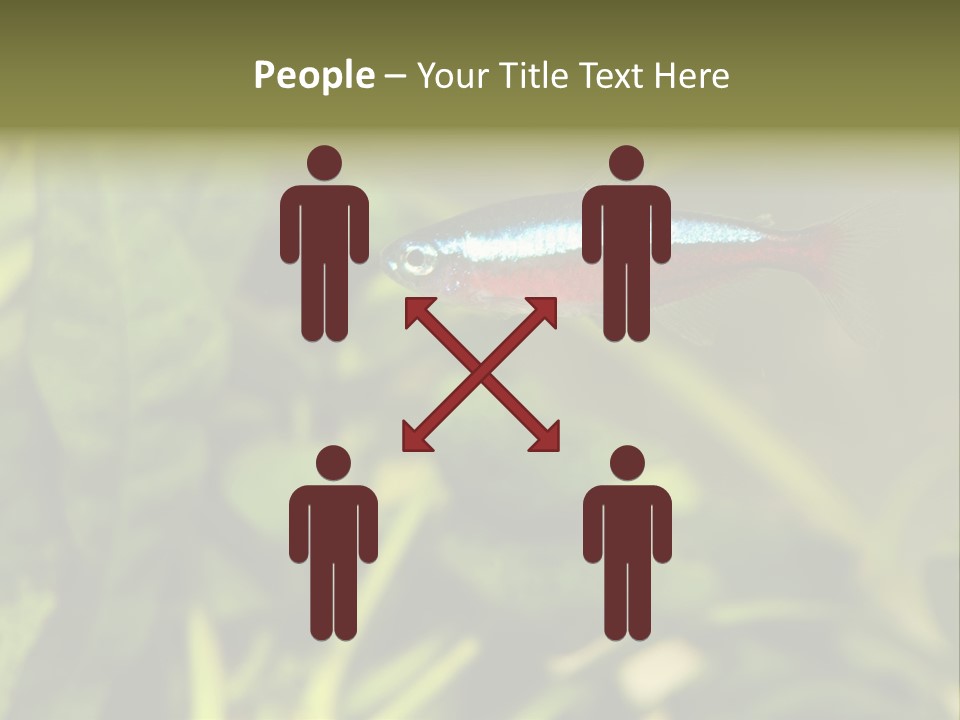 Water Freshwater Tropical PowerPoint Template