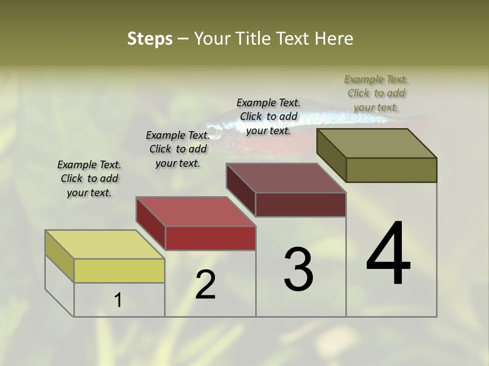 Water Freshwater Tropical PowerPoint Template