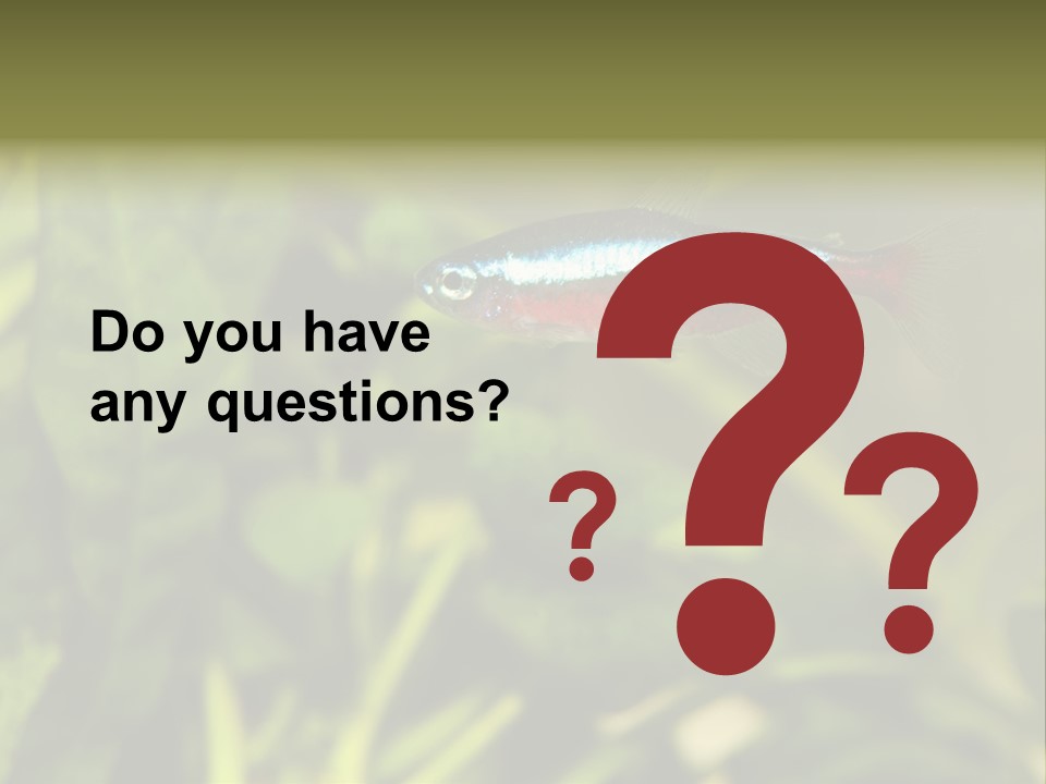 Water Freshwater Tropical PowerPoint Template