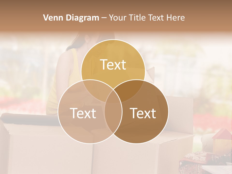 Box Casual Estate PowerPoint Template