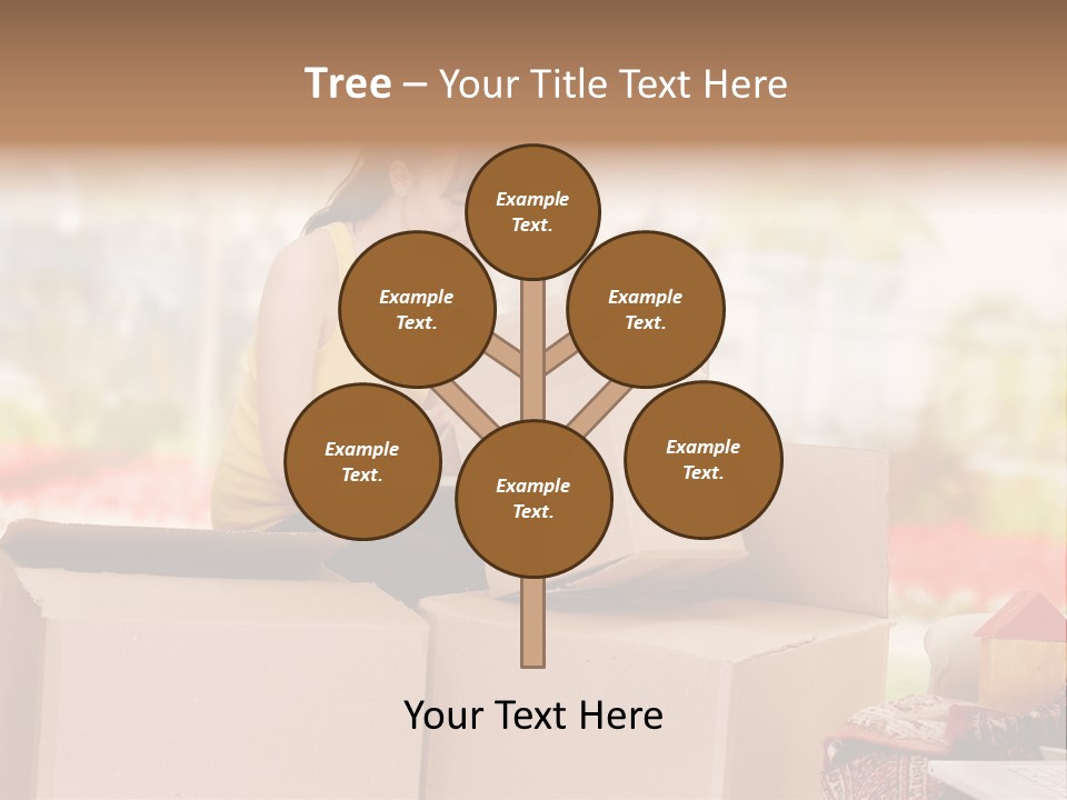 Box Casual Estate PowerPoint Template