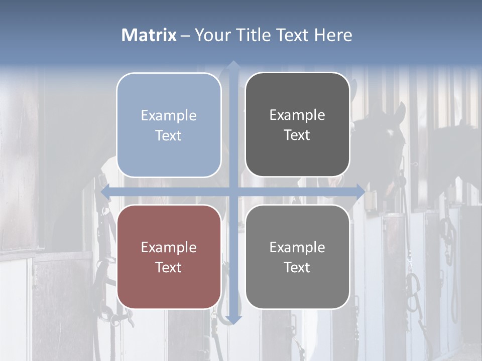 A Group Of Horses Standing Next To Each Other PowerPoint Template