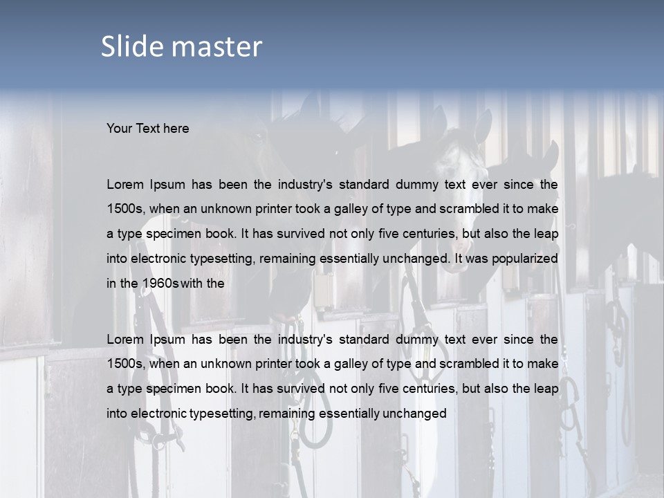 A Group Of Horses Standing Next To Each Other PowerPoint Template