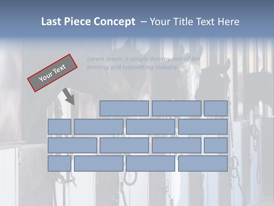 A Group Of Horses Standing Next To Each Other PowerPoint Template