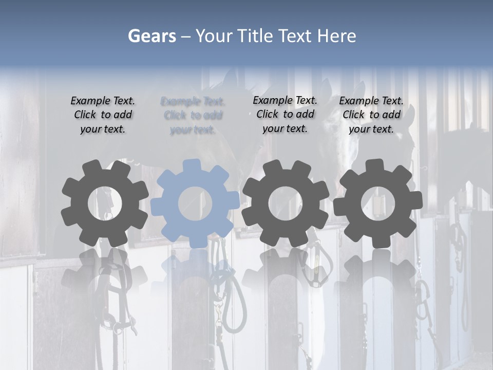 A Group Of Horses Standing Next To Each Other PowerPoint Template