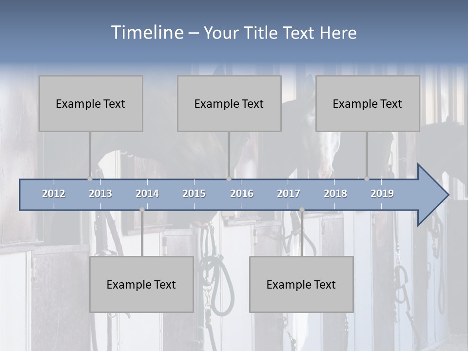 A Group Of Horses Standing Next To Each Other PowerPoint Template
