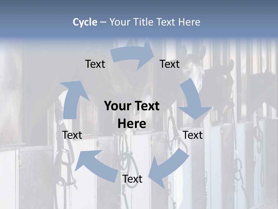 A Group Of Horses Standing Next To Each Other PowerPoint Template
