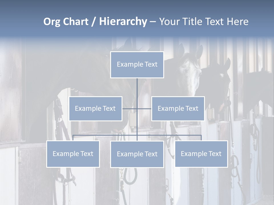 A Group Of Horses Standing Next To Each Other PowerPoint Template