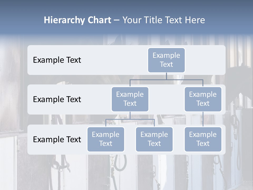 A Group Of Horses Standing Next To Each Other PowerPoint Template