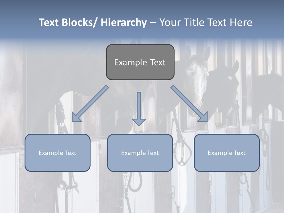 A Group Of Horses Standing Next To Each Other PowerPoint Template