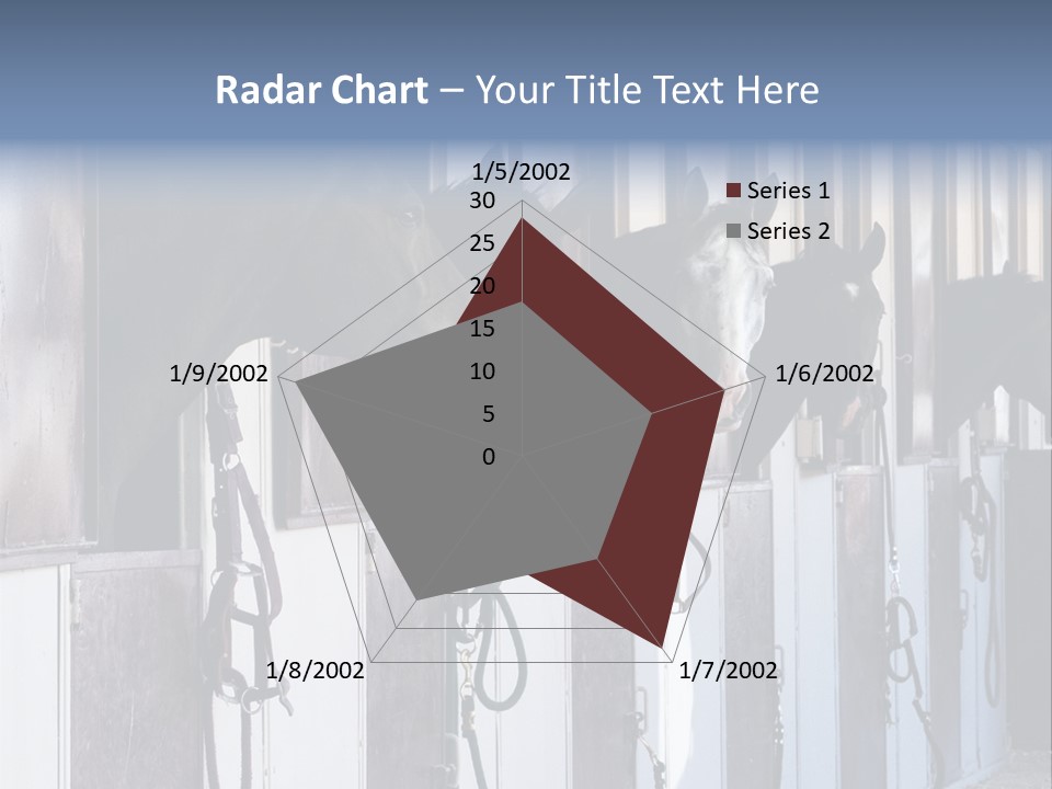 A Group Of Horses Standing Next To Each Other PowerPoint Template