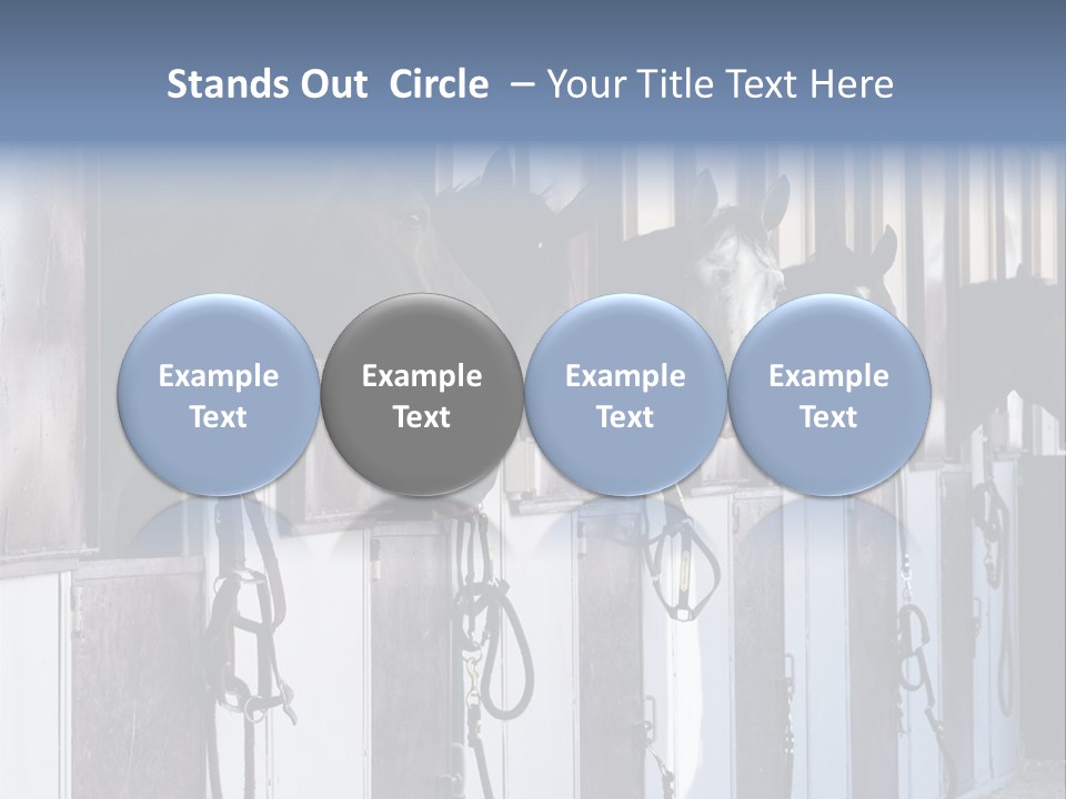 A Group Of Horses Standing Next To Each Other PowerPoint Template