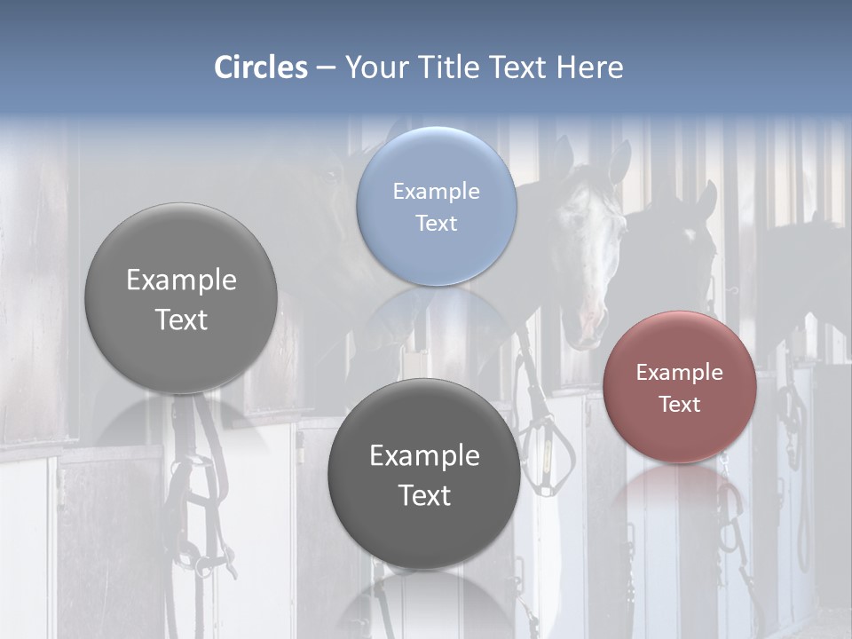 A Group Of Horses Standing Next To Each Other PowerPoint Template