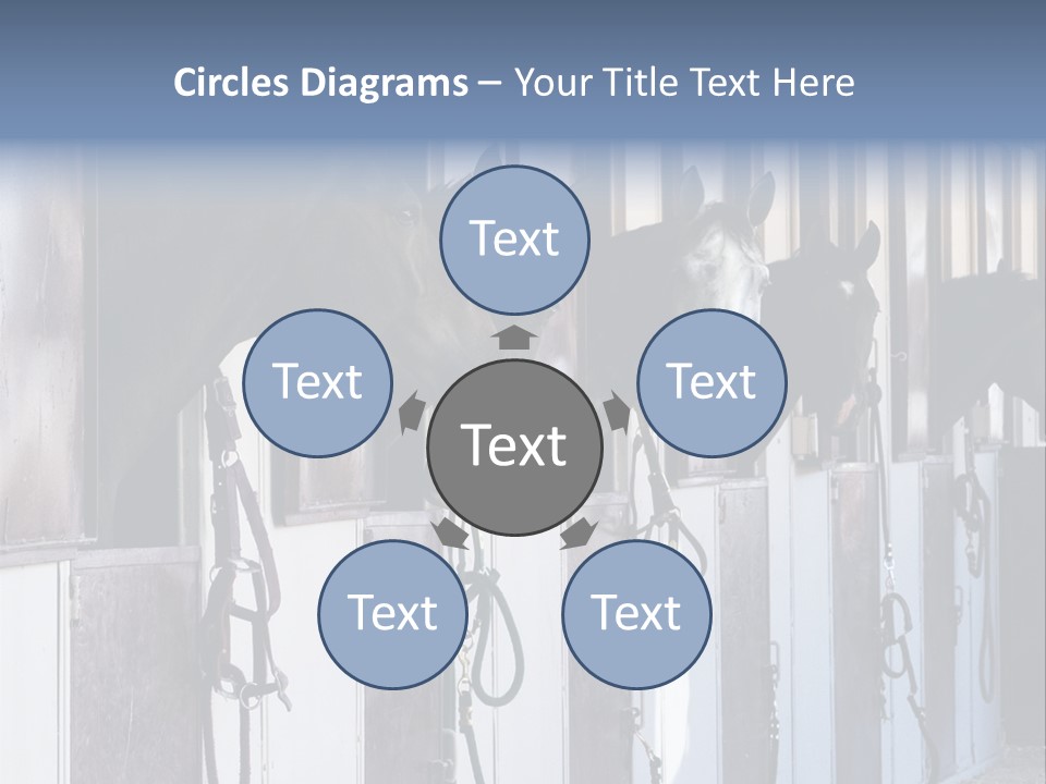 A Group Of Horses Standing Next To Each Other PowerPoint Template