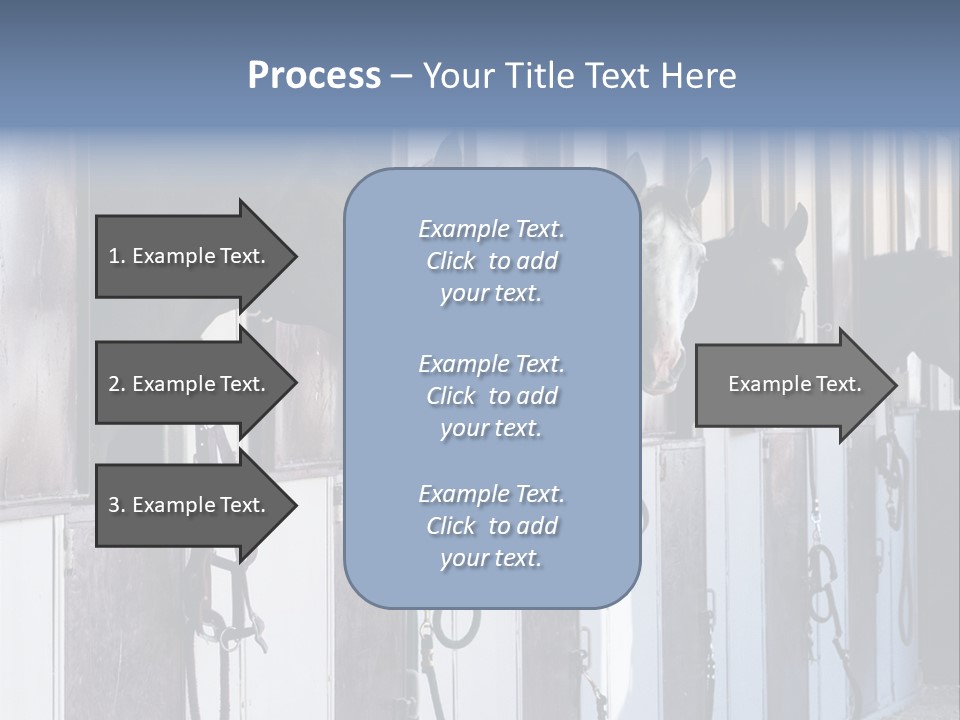 A Group Of Horses Standing Next To Each Other PowerPoint Template