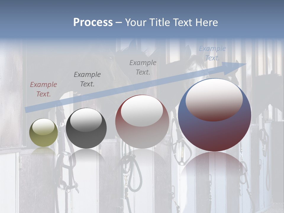 A Group Of Horses Standing Next To Each Other PowerPoint Template