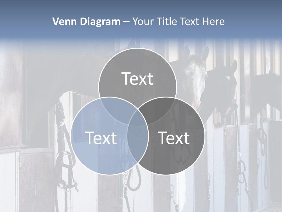 A Group Of Horses Standing Next To Each Other PowerPoint Template