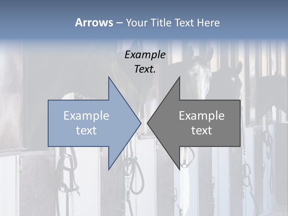 A Group Of Horses Standing Next To Each Other PowerPoint Template
