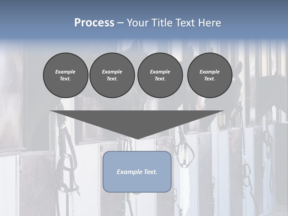 A Group Of Horses Standing Next To Each Other PowerPoint Template