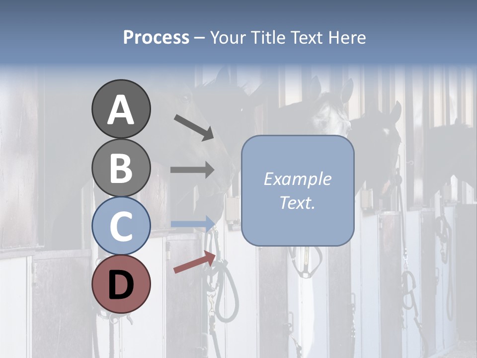 A Group Of Horses Standing Next To Each Other PowerPoint Template