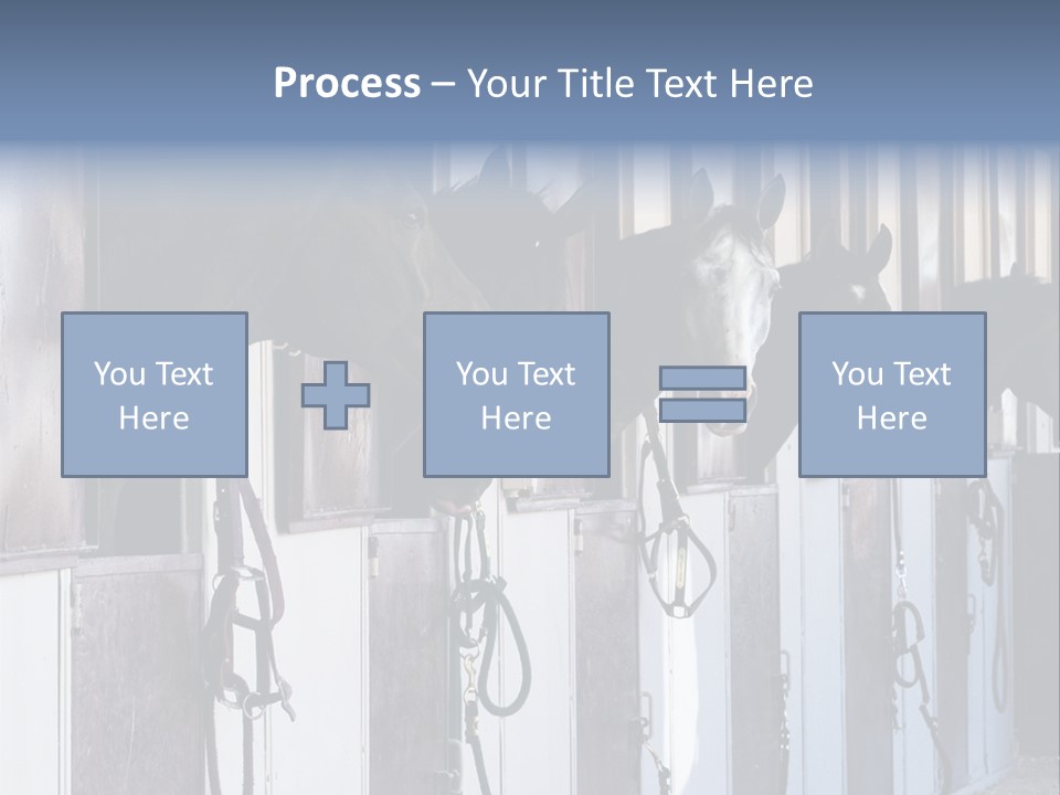 A Group Of Horses Standing Next To Each Other PowerPoint Template