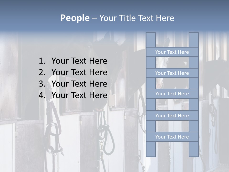 A Group Of Horses Standing Next To Each Other PowerPoint Template