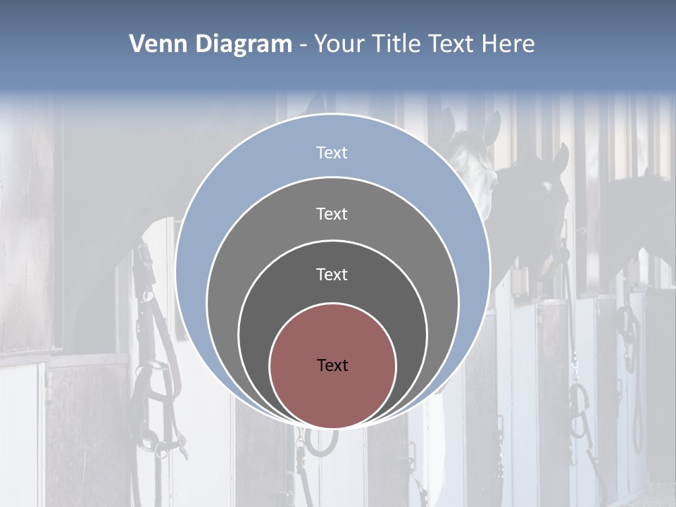 A Group Of Horses Standing Next To Each Other PowerPoint Template
