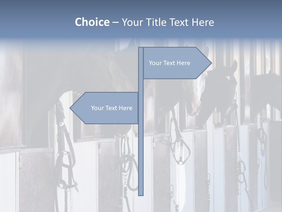 A Group Of Horses Standing Next To Each Other PowerPoint Template