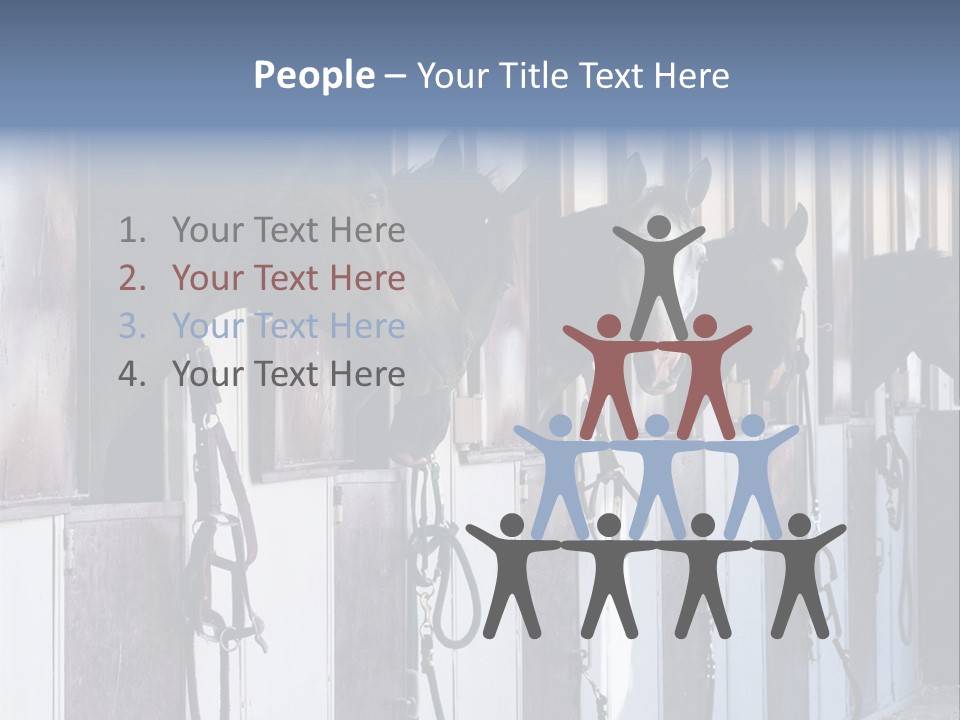 A Group Of Horses Standing Next To Each Other PowerPoint Template