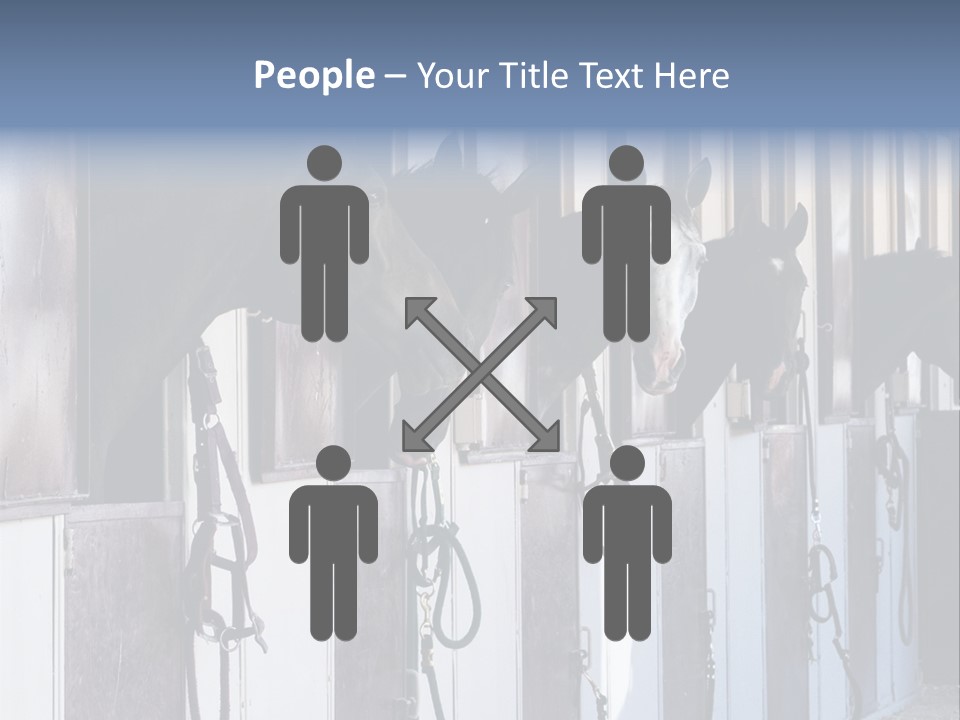 A Group Of Horses Standing Next To Each Other PowerPoint Template