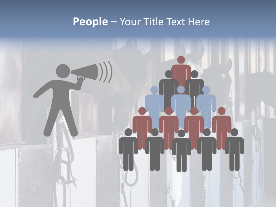 A Group Of Horses Standing Next To Each Other PowerPoint Template