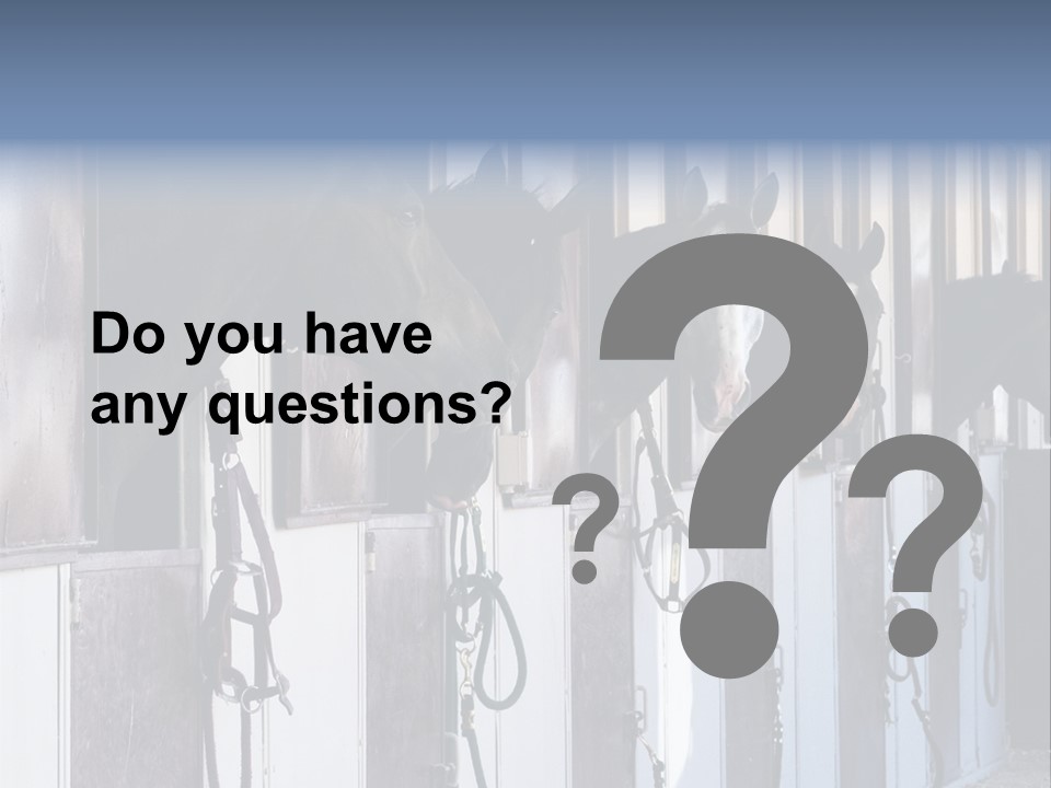 A Group Of Horses Standing Next To Each Other PowerPoint Template