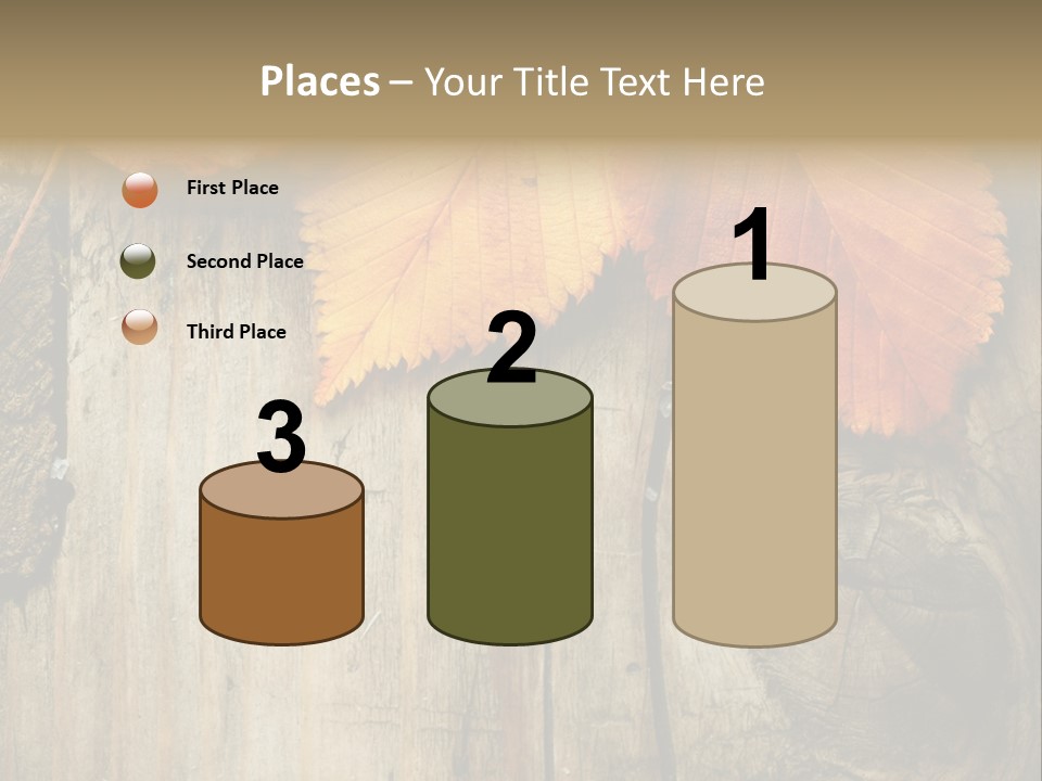 Empty Backdrop Wood PowerPoint Template