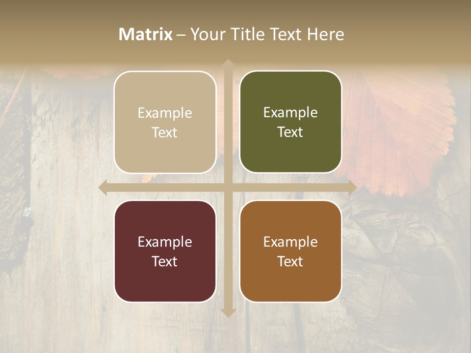 Empty Backdrop Wood PowerPoint Template